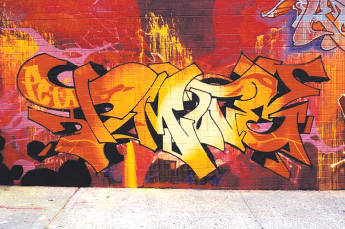 http://www.graffiti.org/dmote/dmotes6.jpg