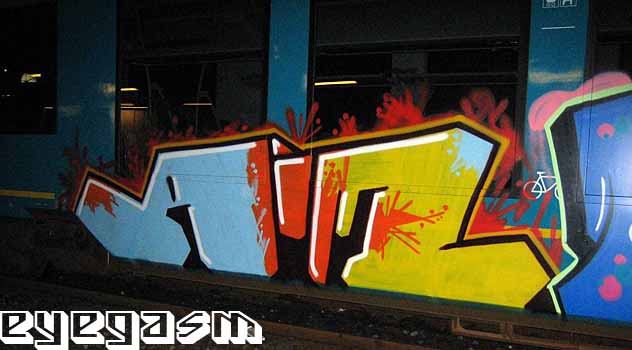 aim06.jpg