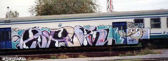 arf01.jpg