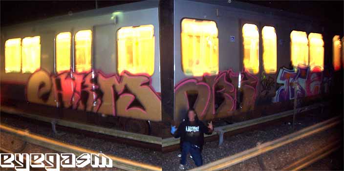 arm-obk-mer01.jpg