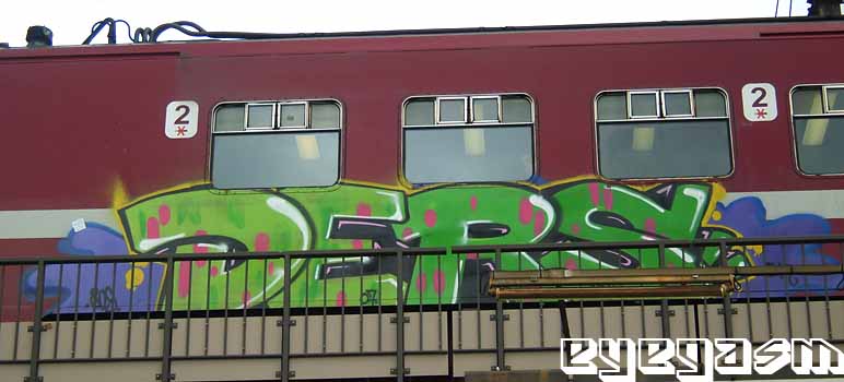 ders01.jpg