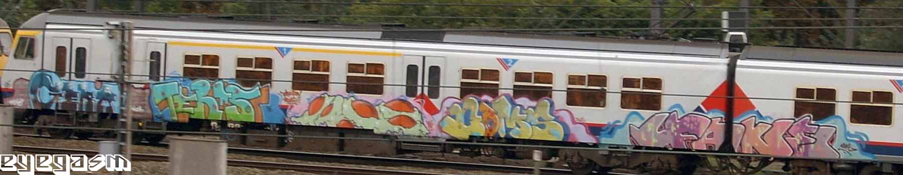 germ-teras-vero-boms-fake01.jpg