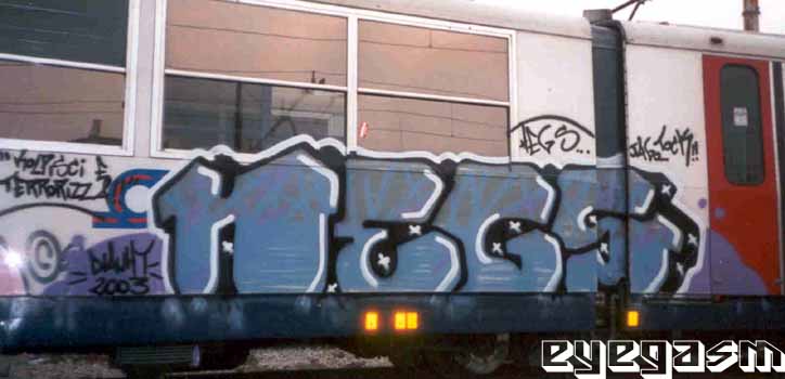hegs22.jpg