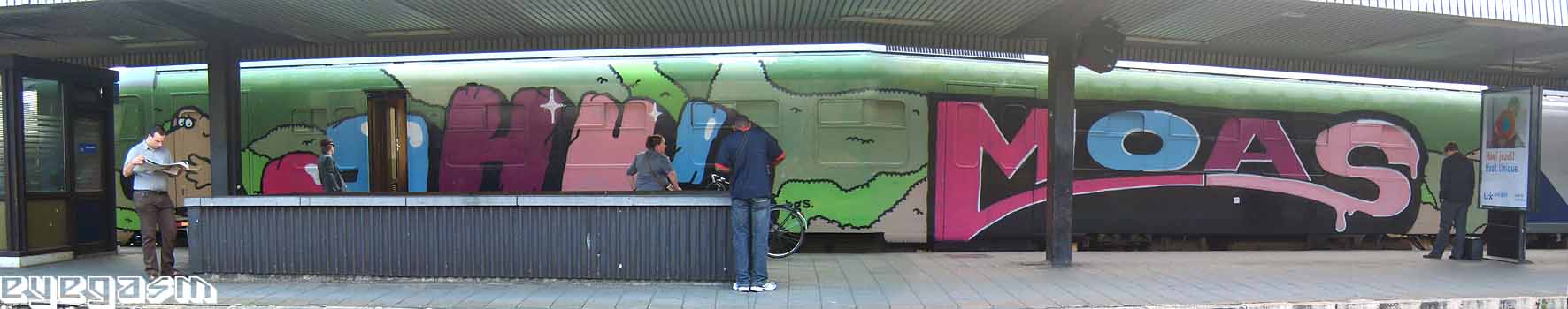 oahu-moas-wc01.jpg
