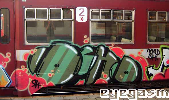 ocho007.jpg