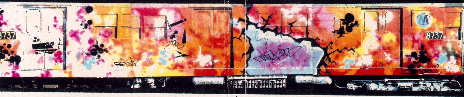 http://www.graffiti.org/trains/fu2000-train01.jpg