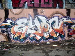 sowpe012x.jpg