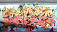 sfb_dsc00106x.jpg