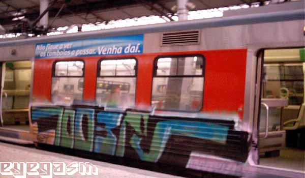 1003pv08.jpg