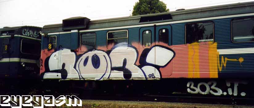 30305.jpg