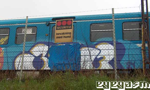 30306.jpg