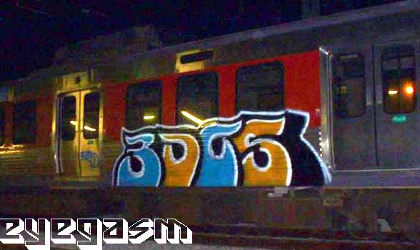 3dcs01.jpg