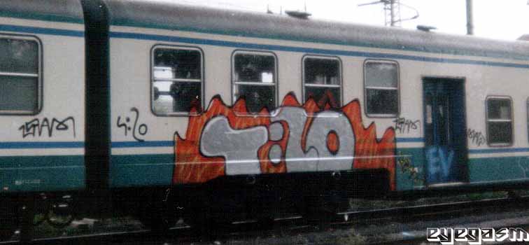 42001.jpg