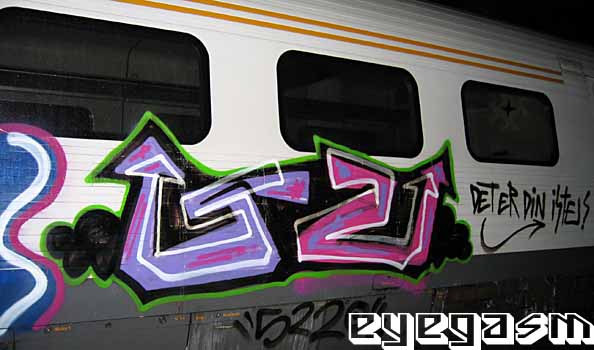 5202.jpg