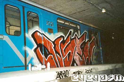 acem01.jpg