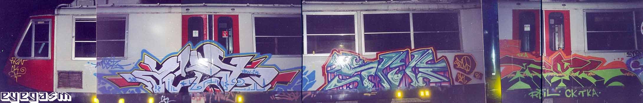 acet-sgo-reil01.jpg