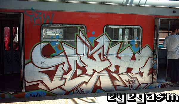 acet104.jpg