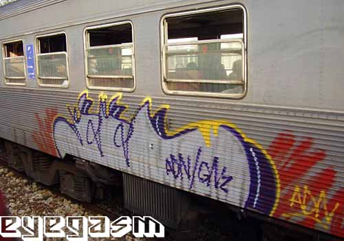 adn01.jpg