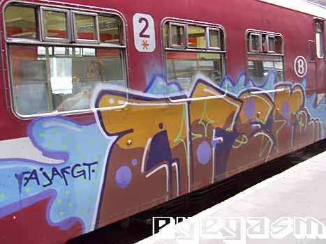 afer01.jpg