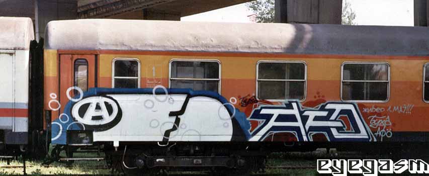 afo-afo01.jpg
