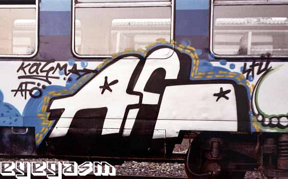 afo02.jpg