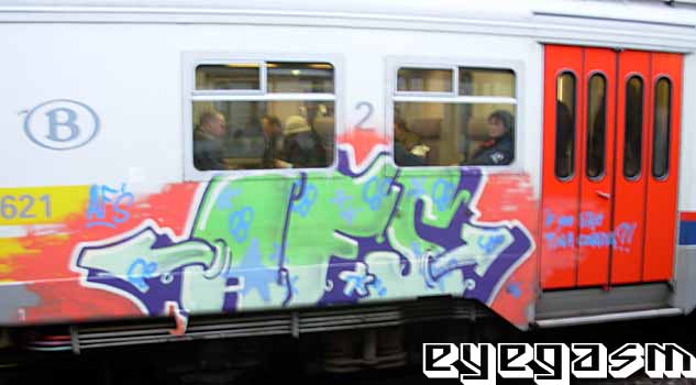 afs01.jpg