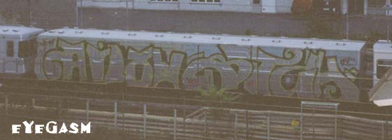ailow-bitch-wc.jpg