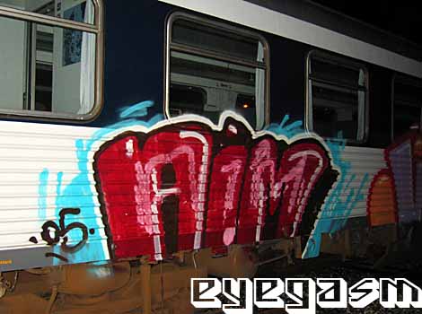 aim08.jpg