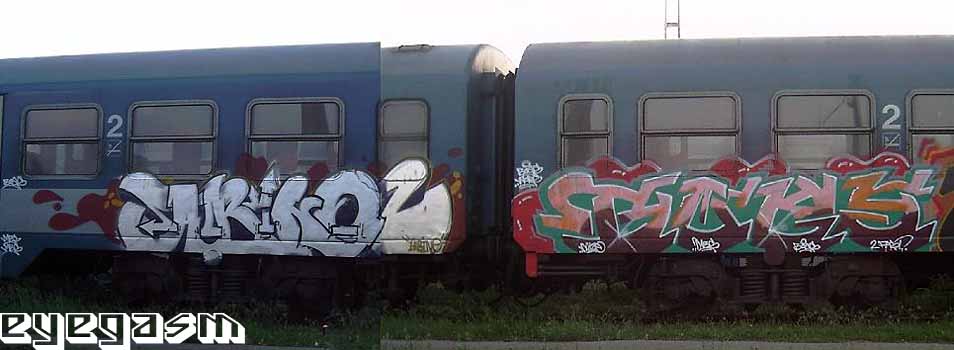 albinoz-boes01.jpg