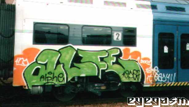 alfe01.jpg