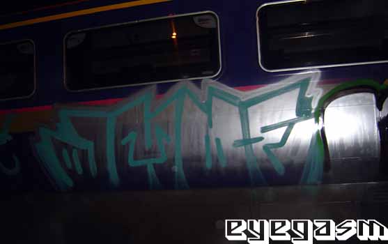 amoe01.jpg