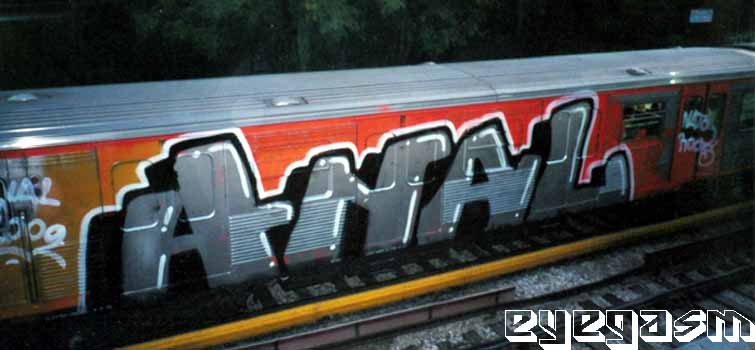 anal01.jpg