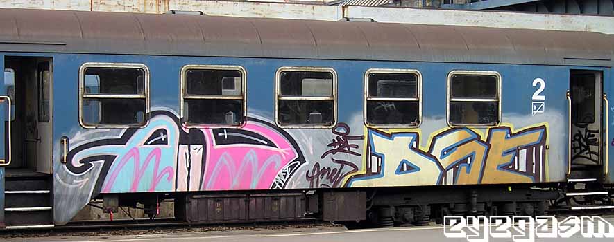 aned-dse01.jpg