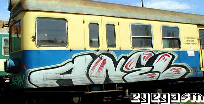 anel02.jpg