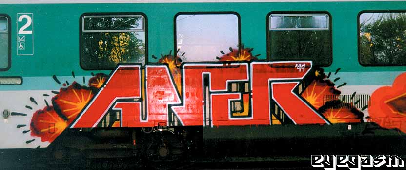 aner01.jpg