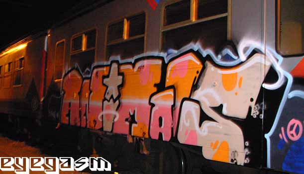 animals06.jpg