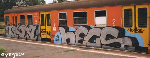 any-becs01.jpg