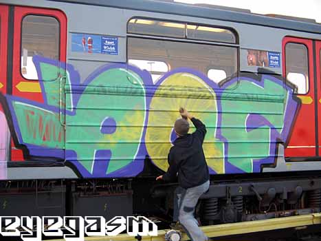 aqf01.jpg