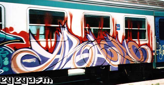 aracno01.jpg