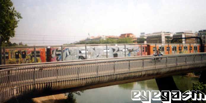 arf-wc04.jpg