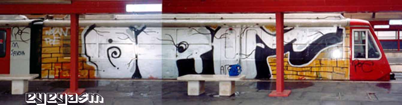 arf-wc05.jpg