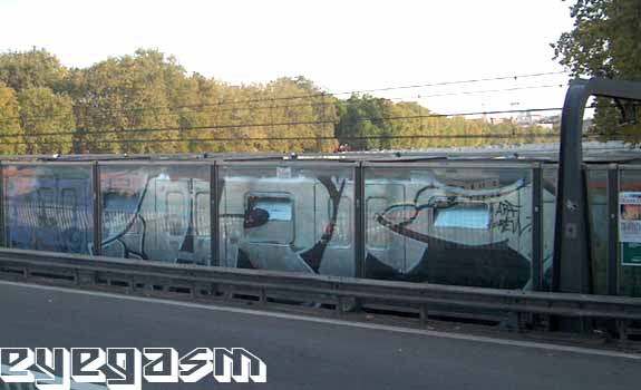 arf-wc06.jpg