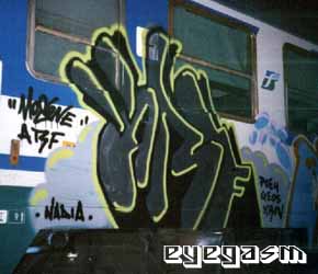 arf02.jpg