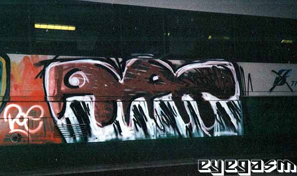 arf29.jpg