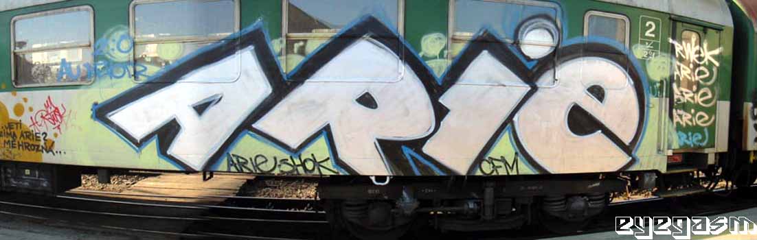 arie02.jpg