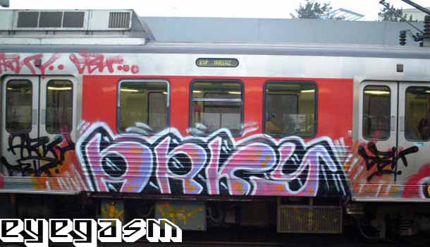 arky01.jpg