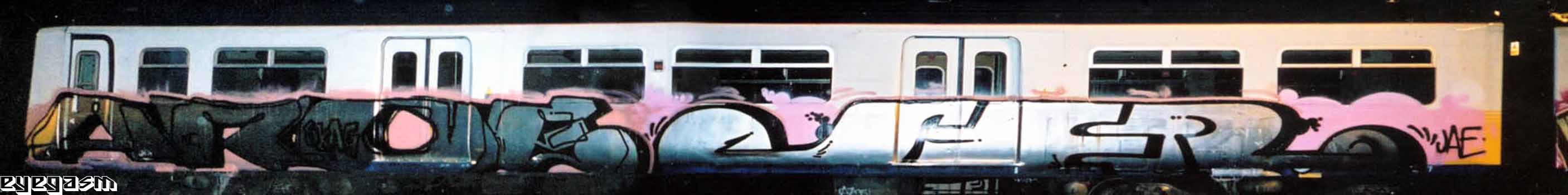 aroe-ser01.jpg