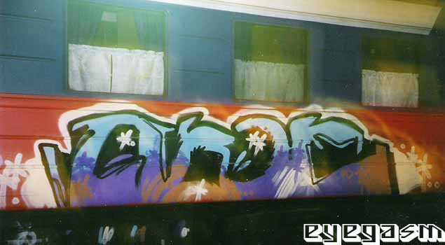 aroe001.jpg