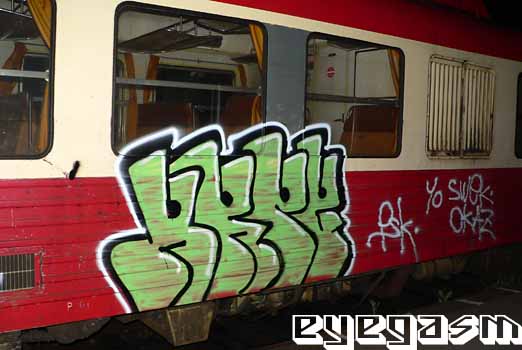 arpe01.jpg