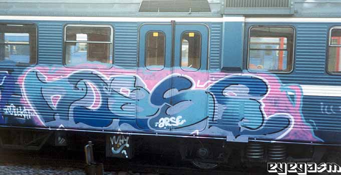 arse01.jpg